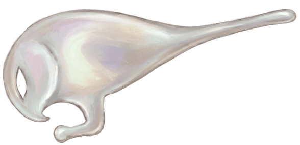 Parrot illustration